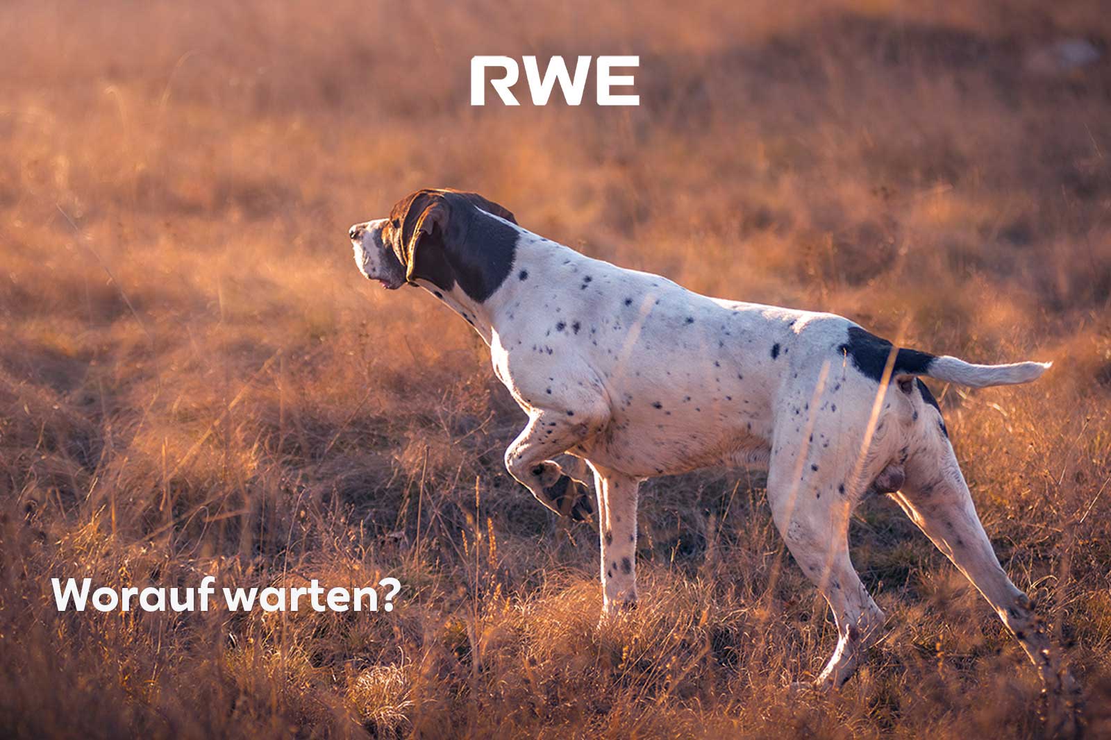 Worauf warten?